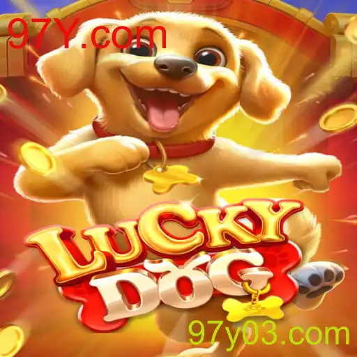 Desvendando o Mundo de LuckyDog e 97Y.com
